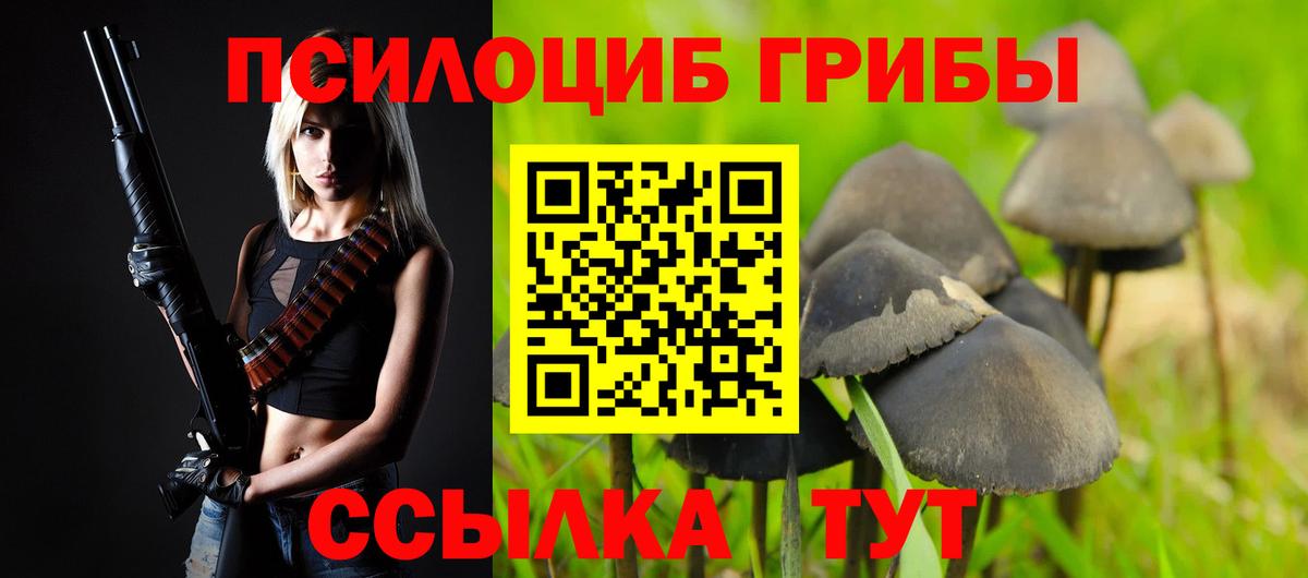 Галлюциногенные грибы Magic Shrooms Елизово